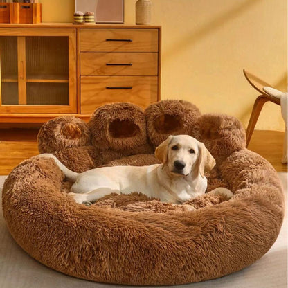 Cuccia per Cani