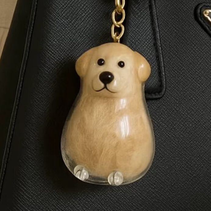 Bottiglia Ricordo per Cani