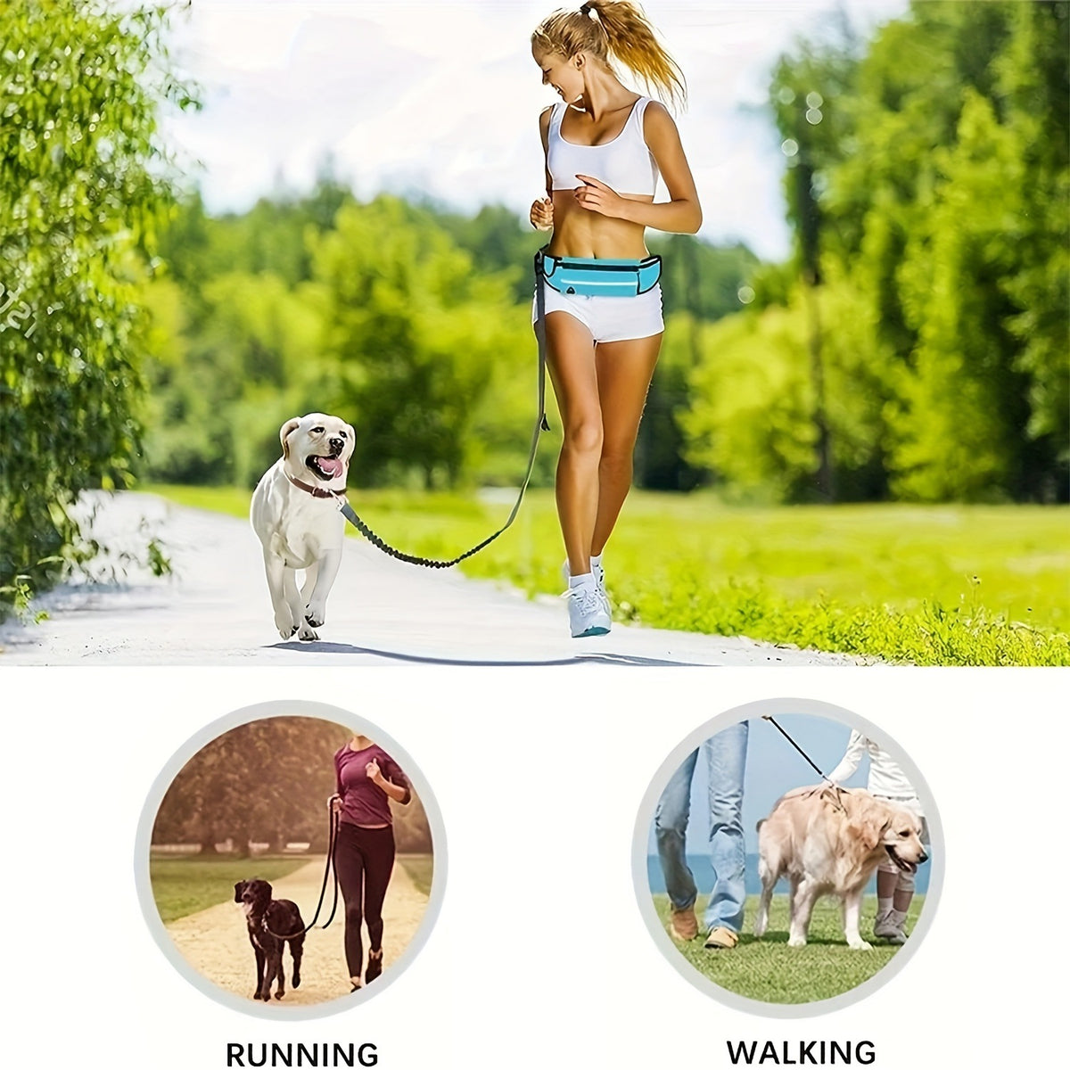 Guinzaglio Retrattile per Cani