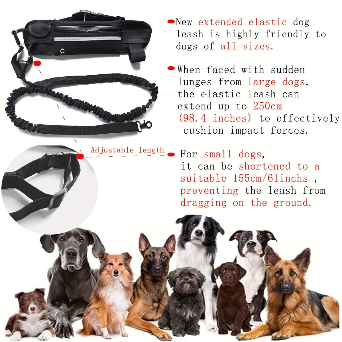 Guinzaglio Retrattile per Cani