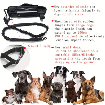 Guinzaglio Retrattile per Cani